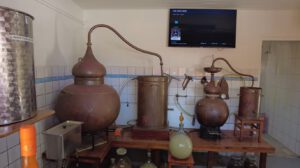 Rincon Cadushy Distillery