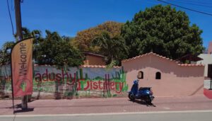 Rincon Cadushy Distillery